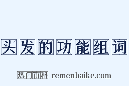 头发的功能组词是什么意思的图片